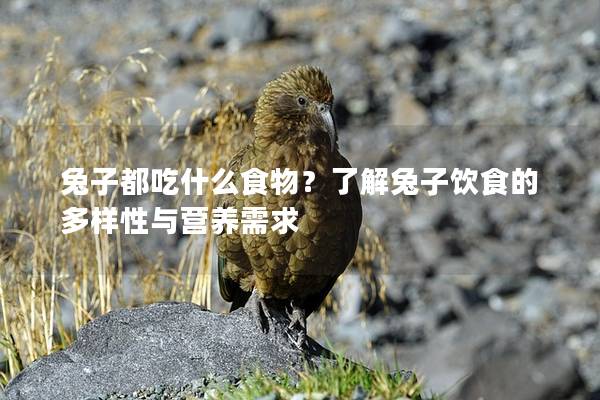 兔子都吃什么食物？了解兔子饮食的多样性与营养需求