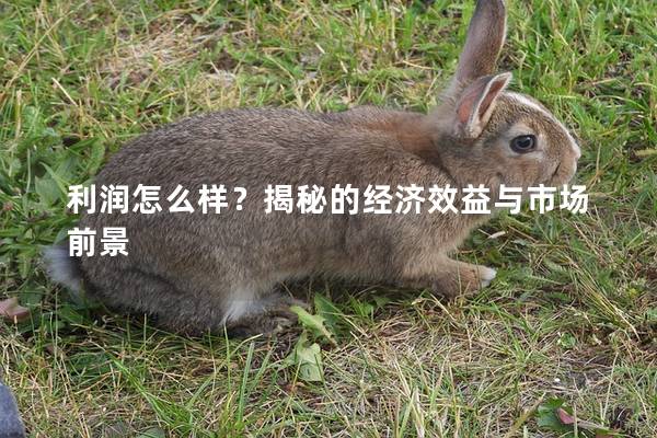 利润怎么样？揭秘的经济效益与市场前景