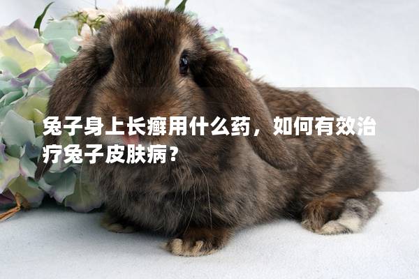 兔子身上长癣用什么药，如何有效治疗兔子皮肤病？