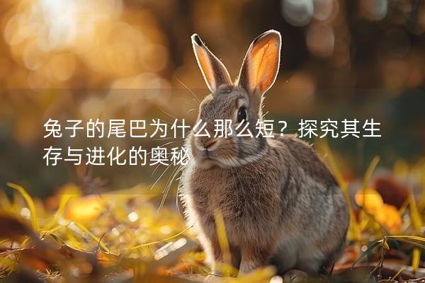 兔子的尾巴为什么那么短？探究其生存与进化的奥秘