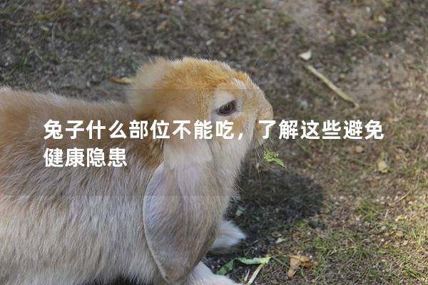 兔子什么部位不能吃，了解这些避免健康隐患