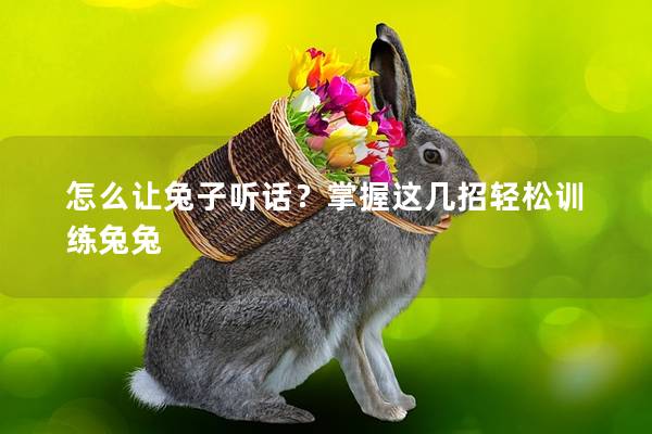 怎么让兔子听话？掌握这几招轻松训练兔兔