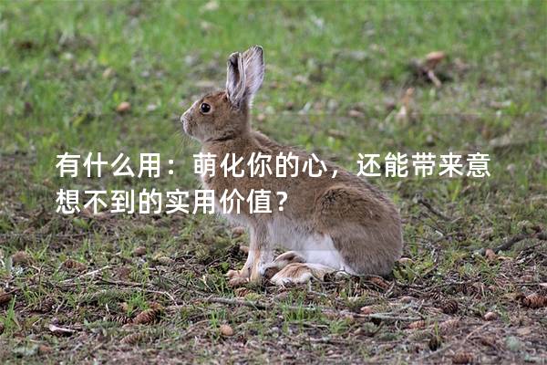 有什么用：萌化你的心，还能带来意想不到的实用价值？