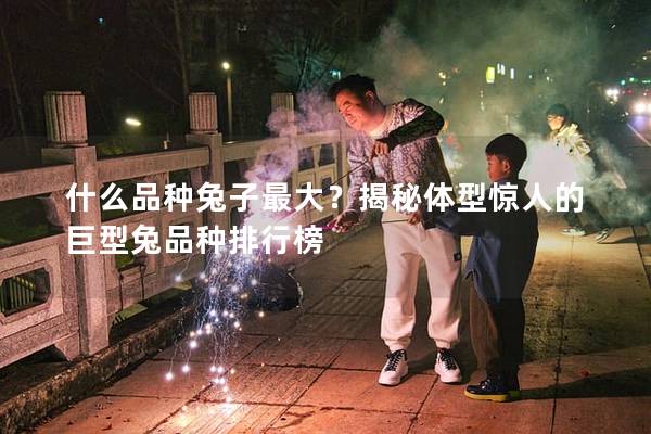 什么品种兔子最大？揭秘体型惊人的巨型兔品种排行榜