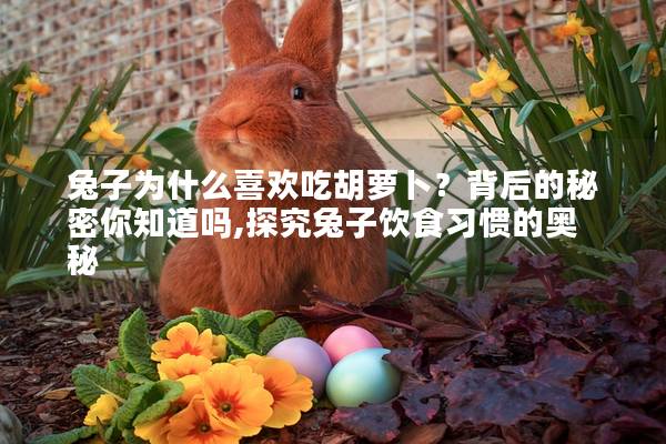 兔子为什么喜欢吃胡萝卜？背后的秘密你知道吗,探究兔子饮食习惯的奥秘