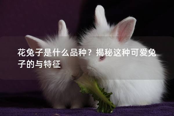 花兔子是什么品种？揭秘这种可爱兔子的与特征