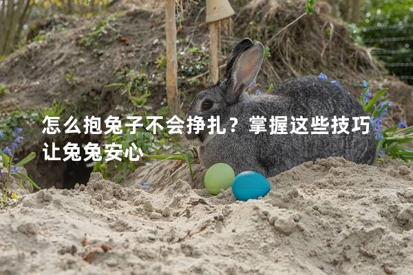 怎么抱兔子不会挣扎？掌握这些技巧让兔兔安心