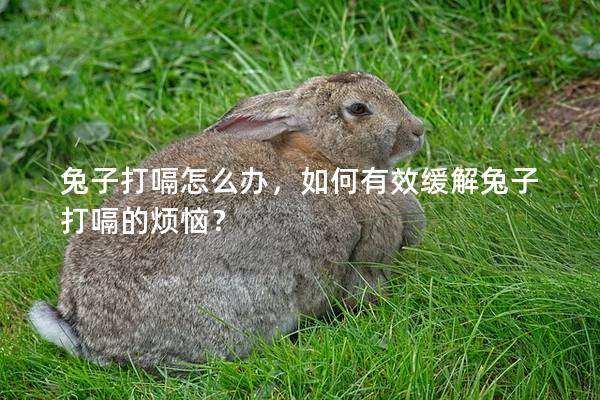兔子打嗝怎么办，如何有效缓解兔子打嗝的烦恼？
