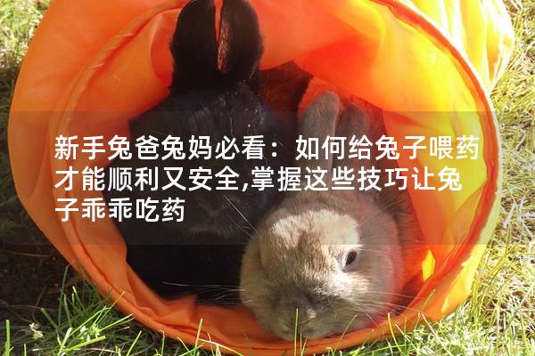 新手兔爸兔妈必看：如何给兔子喂药才能顺利又安全,掌握这些技巧让兔子乖乖吃药
