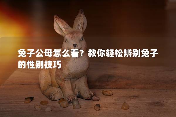 兔子公母怎么看？教你轻松辨别兔子的性别技巧
