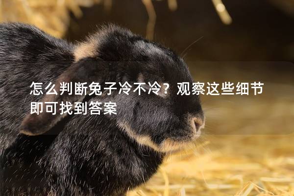 怎么判断兔子冷不冷？观察这些细节即可找到答案