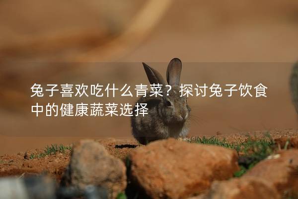 兔子喜欢吃什么青菜？探讨兔子饮食中的健康蔬菜选择