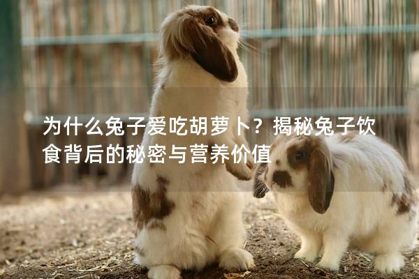 为什么兔子爱吃胡萝卜？揭秘兔子饮食背后的秘密与营养价值