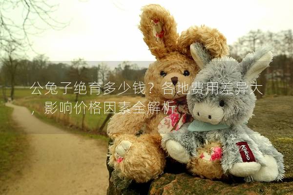 公兔子绝育多少钱？各地费用差异大，影响价格因素全解析