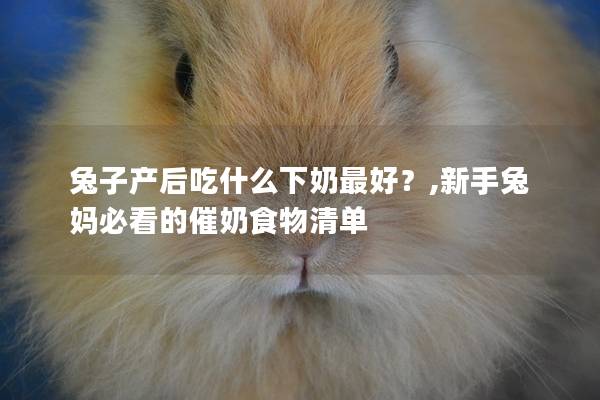 兔子产后吃什么下奶最好？,新手兔妈必看的催奶食物清单
