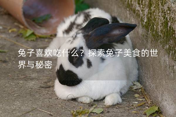 兔子喜欢吃什么？探索兔子美食的世界与秘密