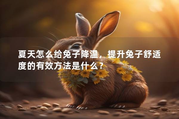 夏天怎么给兔子降温，提升兔子舒适度的有效方法是什么？