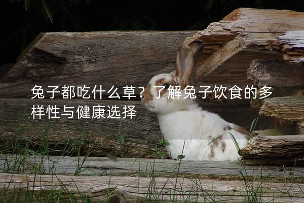 兔子都吃什么草？了解兔子饮食的多样性与健康选择