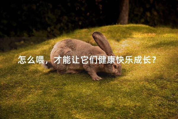 怎么喂，才能让它们健康快乐成长？