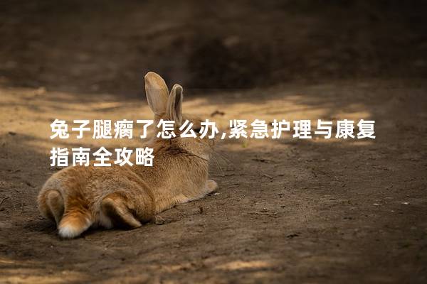 兔子腿瘸了怎么办,紧急护理与康复指南全攻略