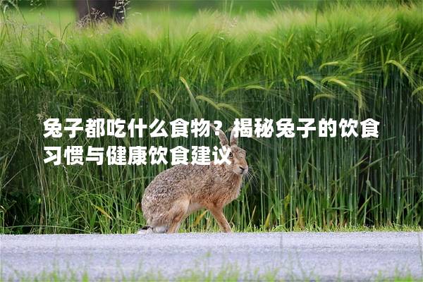 兔子都吃什么食物？揭秘兔子的饮食习惯与健康饮食建议