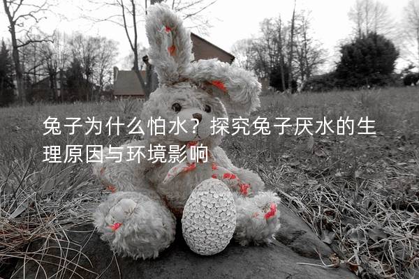 兔子为什么怕水？探究兔子厌水的生理原因与环境影响