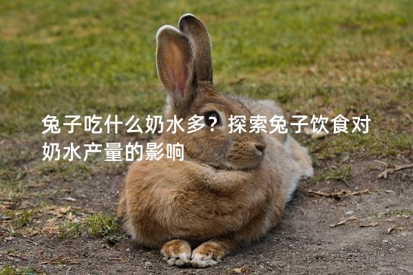 兔子吃什么奶水多？探索兔子饮食对奶水产量的影响