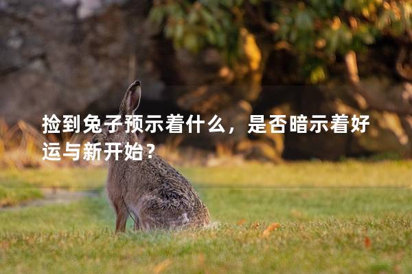 捡到兔子预示着什么，是否暗示着好运与新开始？