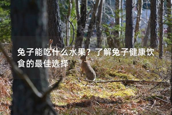 兔子能吃什么水果？了解兔子健康饮食的最佳选择