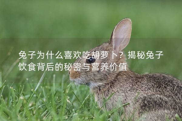 兔子为什么喜欢吃胡萝卜？揭秘兔子饮食背后的秘密与营养价值