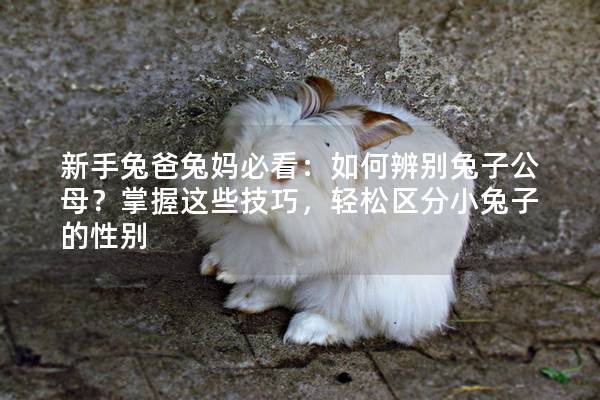 新手兔爸兔妈必看：如何辨别兔子公母？掌握这些技巧，轻松区分小兔子的性别