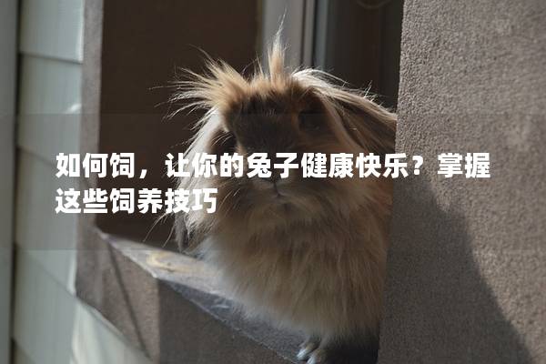 如何饲，让你的兔子健康快乐？掌握这些饲养技巧