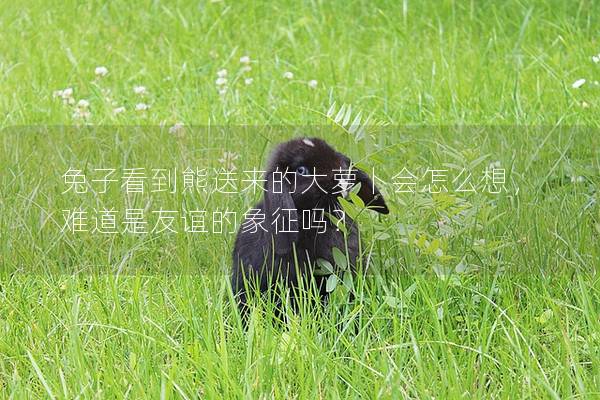 兔子看到熊送来的大萝卜会怎么想，难道是友谊的象征吗？