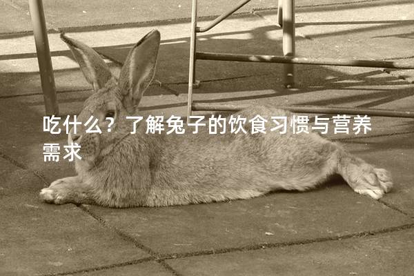吃什么？了解兔子的饮食习惯与营养需求