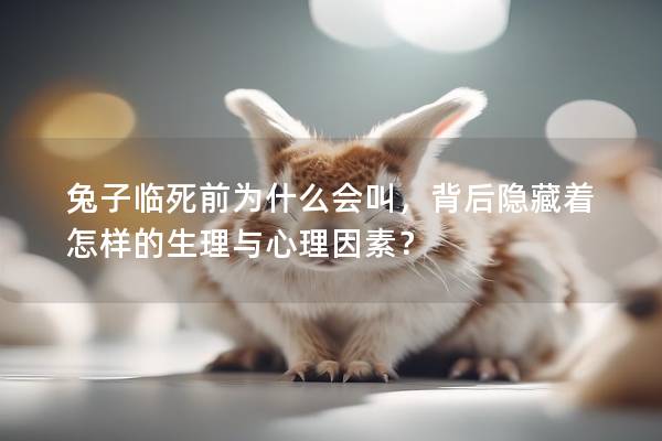 兔子临死前为什么会叫，背后隐藏着怎样的生理与心理因素？