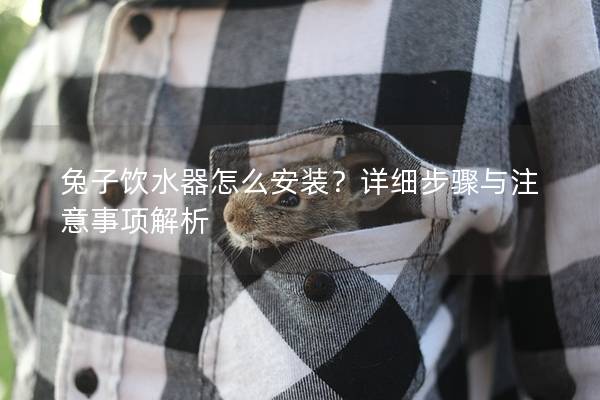 兔子饮水器怎么安装？详细步骤与注意事项解析