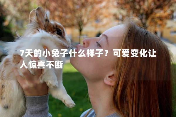 7天的小兔子什么样子？可爱变化让人惊喜不断