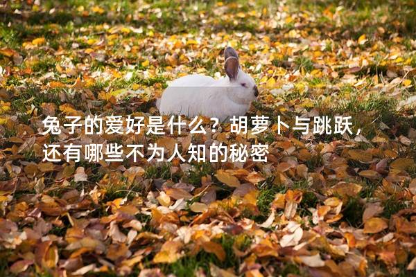兔子的爱好是什么？胡萝卜与跳跃，还有哪些不为人知的秘密