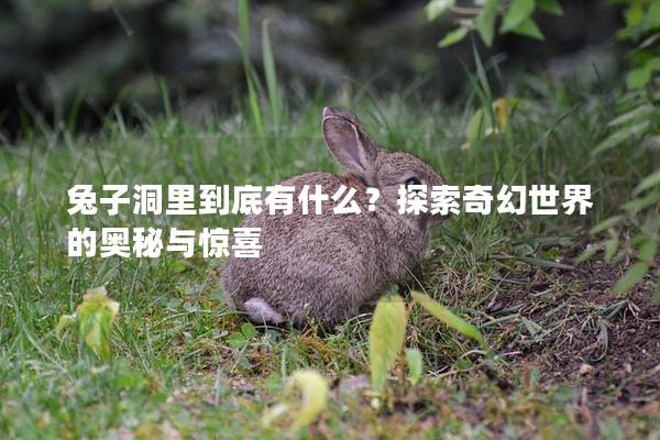 兔子洞里到底有什么？探索奇幻世界的奥秘与惊喜