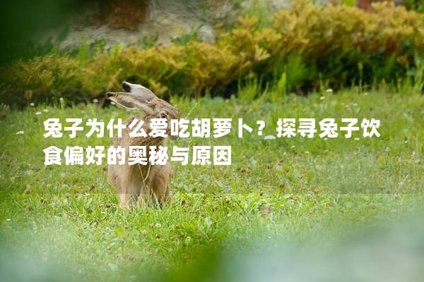 兔子为什么爱吃胡萝卜？探寻兔子饮食偏好的奥秘与原因