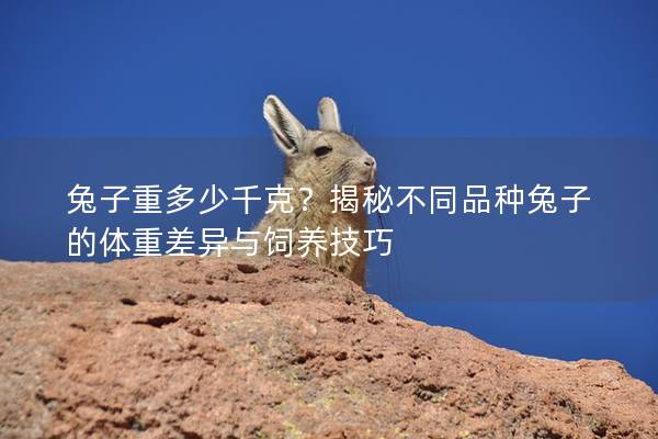 兔子重多少千克？揭秘不同品种兔子的体重差异与饲养技巧
