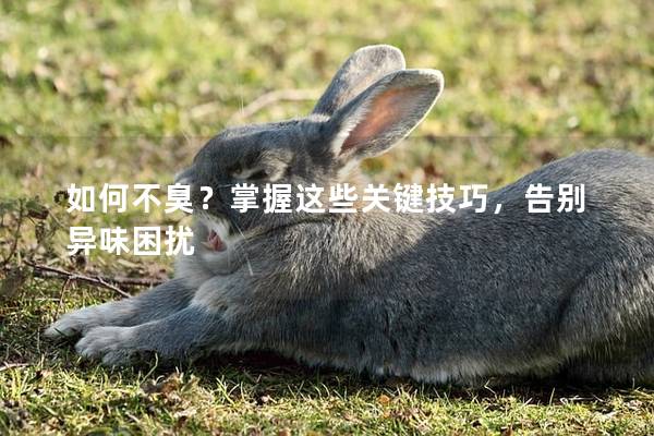 如何不臭？掌握这些关键技巧，告别异味困扰