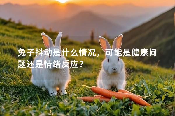 兔子抖动是什么情况，可能是健康问题还是情绪反应？