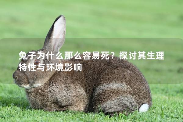 兔子为什么那么容易死？探讨其生理特性与环境影响