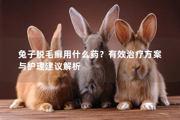 兔子脱毛癣用什么药？有效治疗方案与护理建议解析