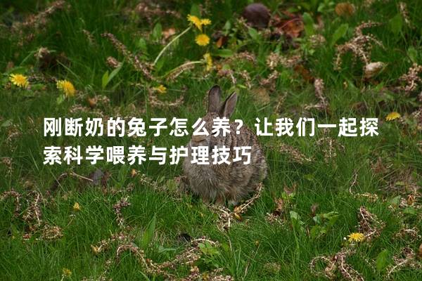 刚断奶的兔子怎么养？让我们一起探索科学喂养与护理技巧