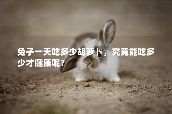 兔子一天吃多少胡萝卜，究竟能吃多少才健康呢？