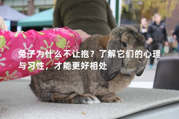 兔子为什么不让抱？了解它们的心理与习性，才能更好相处