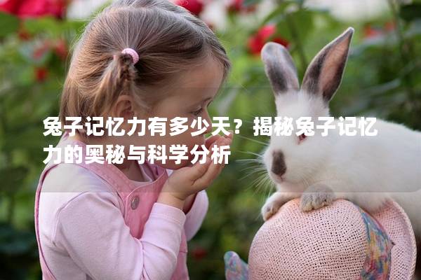 兔子记忆力有多少天？揭秘兔子记忆力的奥秘与科学分析