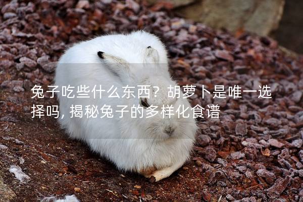 兔子吃些什么东西？胡萝卜是唯一选择吗, 揭秘兔子的多样化食谱